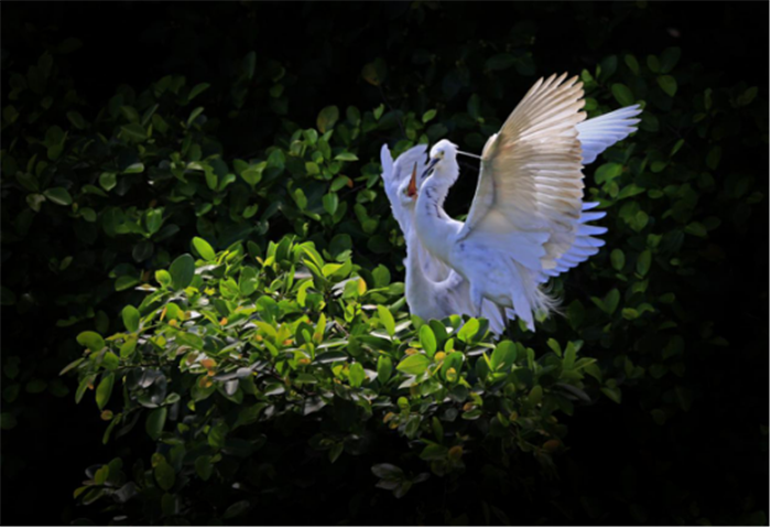 【纪检人●镜头】 白 露