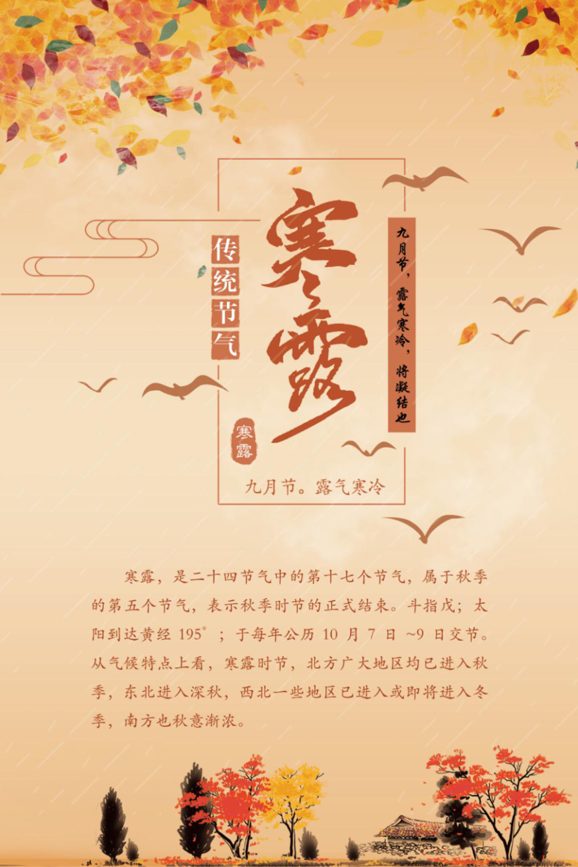 【节气•长卷】寒露：萧疏桐叶上 月白露初团